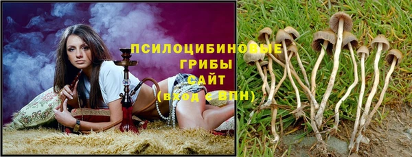 мяу мяу мука Алексеевка